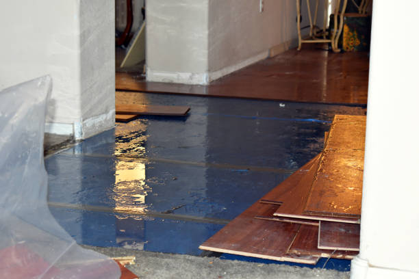 Professional Basement Flooding technician working in Chase, PA